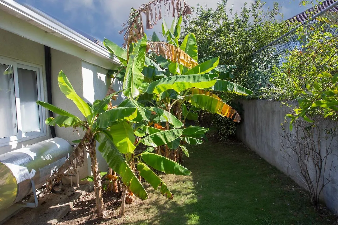 Nature'S Choice Home Richmond Palms, Jamaica Σπίτι διακοπών